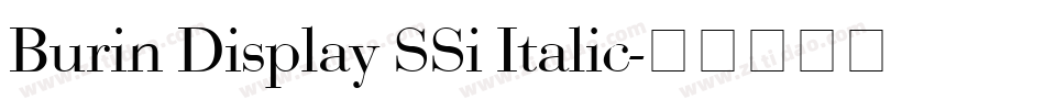 Burin Display SSi Italic字体转换